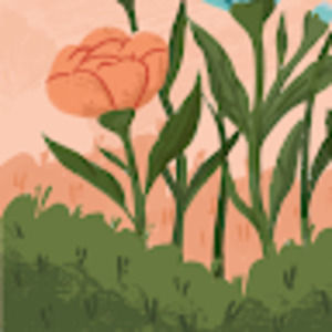 Meet your Posher, Lindsey